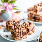 no bake chocolate oat bars